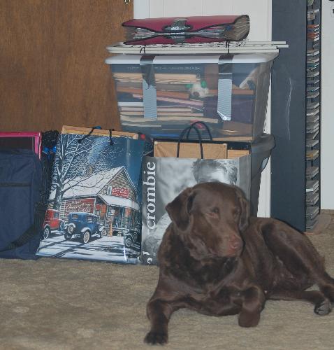 mommy is goin somewhere - she was my best buddy for 4 years