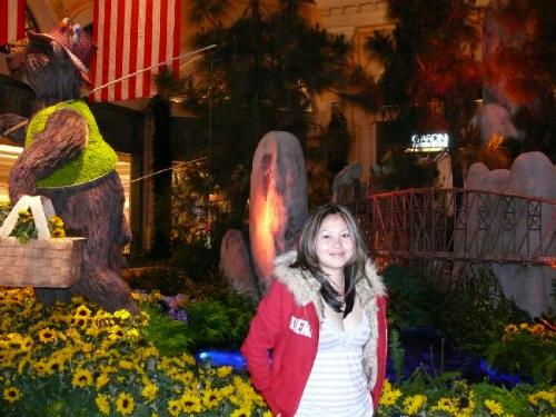 at las vegas - at las vegas, vacation