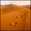 footsteps - footsteps icon