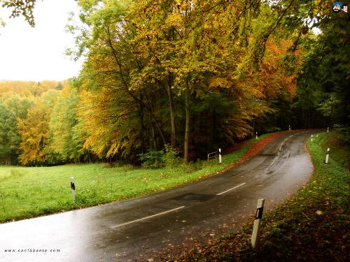 Nature in Life - .