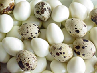 Quail Eggs - There is something about quail eggs that makes it tastier than the regular chicken eggs.