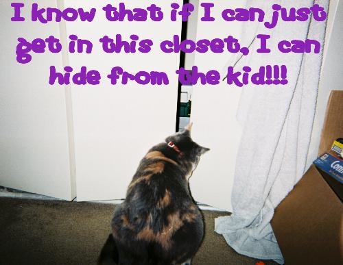 Shady TRYING to hide in the closet! - I think she was trying to hide from my son.