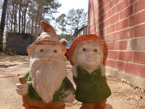 creepy gnomes - A picture of a couple of my gnomes