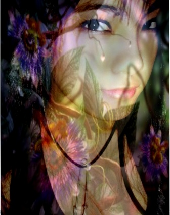 Fairy - shie_fairy