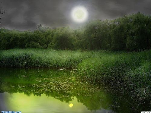 nature - naturenaturenaturenaturenaturenaturenaturenaturenaturenaturenaturenaturenaturenaturenaturenature