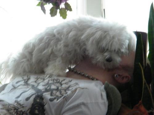 Penny Hug - This is my dog, Penelope (Penny) giving my son one of her infamous 'Hugs'. She'll smash her body against your face until you HAVE to move her in order to breathe! It's so sweet but, well, geez... ya gotta breathe, right? So, if you ever hear me talking about a 'Penny Hug', THIS is what I'm referring to.