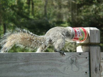 wow!! - Hungry poor chap