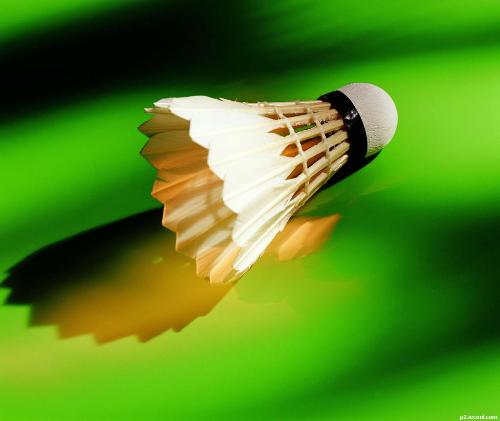 The badminton - do you like the color. I like, the blue and green.