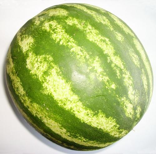 Watermelon - Watermelon can be taken as substitute of water.It ha sufficient food value.