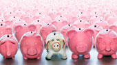 Piggy Banks - Piggy Banks lined up in a row