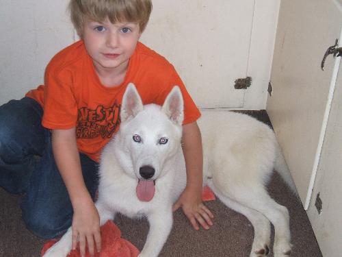 tyler and Frost - My siberian Husky frost.