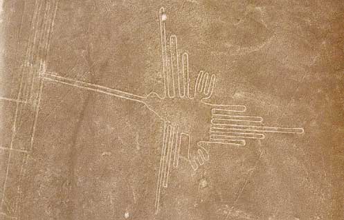 Nazca lines - A nazca Humming Bird glyph