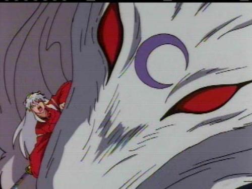 sesshoumaru - very annoyed sesshoumaru in the dog form with inuyasha