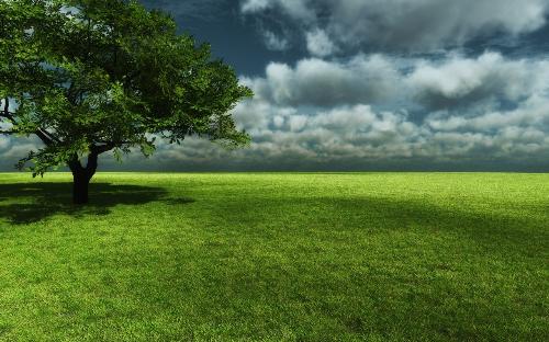 Nature - nice pic
