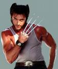 Wolverine - Wolverine is one main character of x-men.