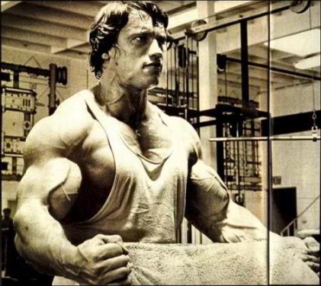 Arnold Schwarzenegger - I love Arnold Schwarzenegger very much.He is a handsome bodybuilder whom i like very much.I like his attitude.The first day gym experience of Arnold was very worst.The seniors discouraged him and said jokily 'He will be Mr.universe in next 5 years'.But Arnold shut their mouth by becoming Mr.universe in the next 5 years.So like him because of his confidence.