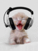 headphone or earphone? - kitty with a headphone.