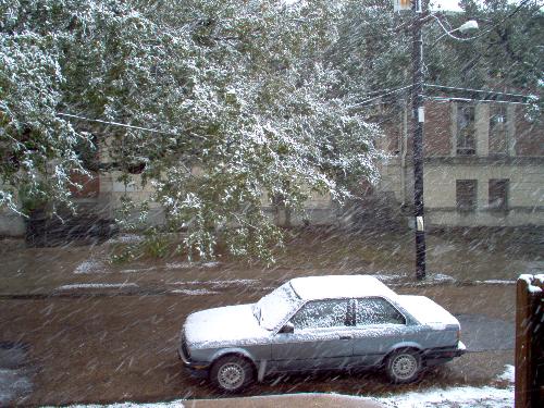 Snow day 2008 - Yes, it does occaisionally snow in New Orleans and I have the proof!