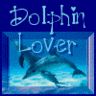 dolphin lover - dolphins in the sea