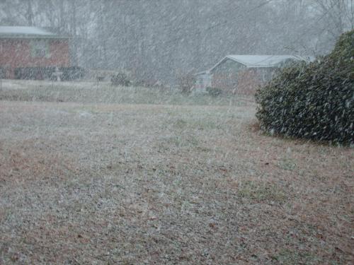 The Snow Is Falling - It is really coming down hard now.