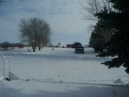 Want Some Snow? - You can barely see the tips of my picket fence, the snow is so deep in my front yard!