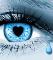 let the stars in your eyes! - SONG: DON'T LET THE STARS GET IN YOUR EYES..I just thought about it today..saying why not?