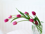 tulip - It's simple and elegant.