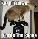 Keep it down. I am on the phone.lol - I turn off my cell phone on weekends when I don't want to get disturbed.