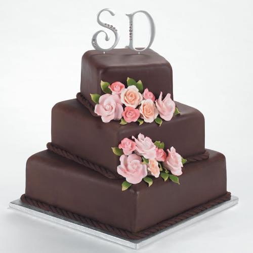 Chocolate Cake - Tasty looking chocolate cake!