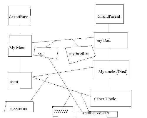 tree - family tree