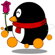 rose - rose for you