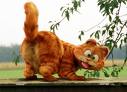 comedy movies - I love the comedy movies