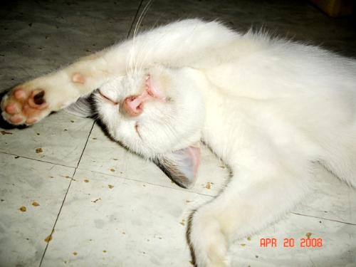 Zzzzzz..... - I'm sleeping.