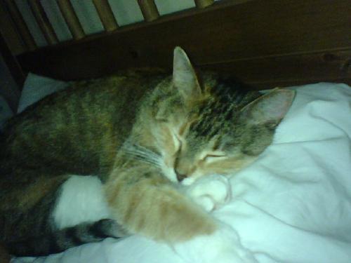 Maya - My pretty girl.