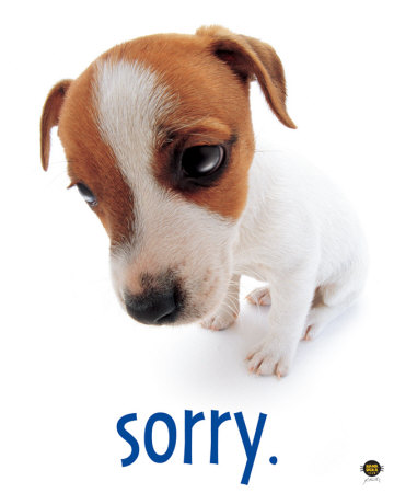 Cute dog - Here's a photo to send to your angry friend i'm sure he/she will chill down as soon as he/she sees this