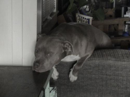 Kane - Just resting my head