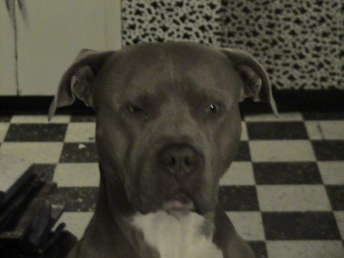 kane - sitting pretty