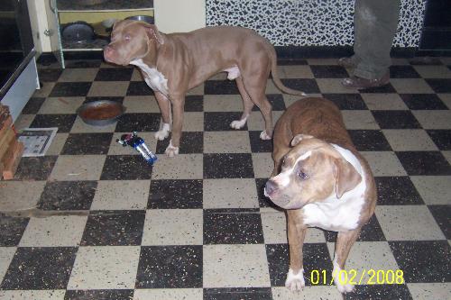 Nika and Kane - Nika and Kane hangin in the kitchen