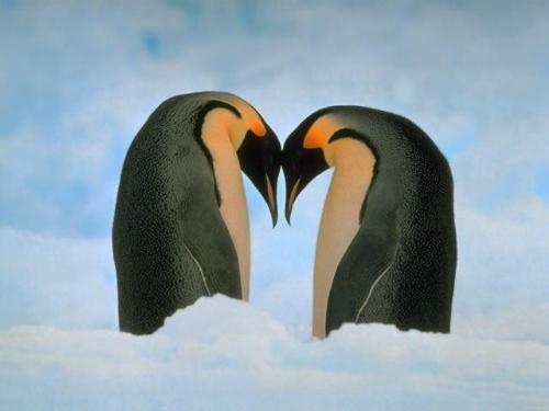 LOVE - This is so sweet.  TRUE LOVE!