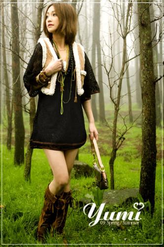 in the wood - the green is awaken