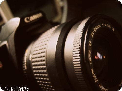 photography - canon camera, photography, slr