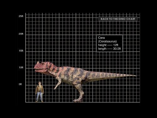 A Ceratosaurus info sheet - a sheet showing the size comparison of a Ceratosaurus