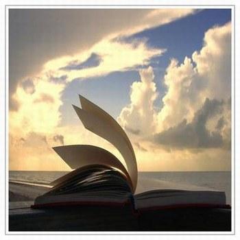 book - tha passion of reading and books of theire own lives.