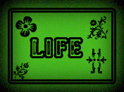 life - life, your life, my life, future, past, health