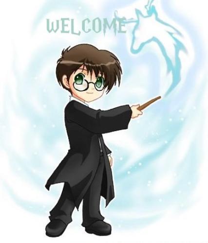 Harry Potter - Magical world of Harry Potter
