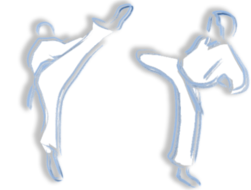 taekwondo - a good sort of exercise