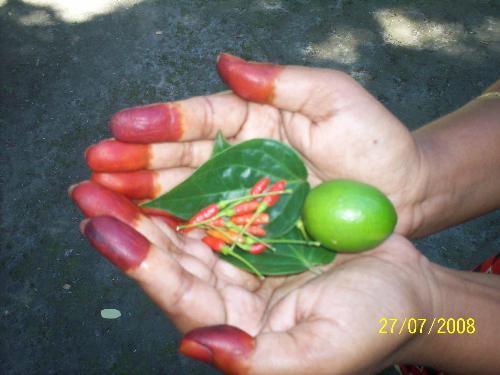 evil eye out - There is a kinda superstition that if you put these things at home evil eyes flee away! nonsense!!!!!