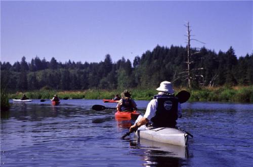 Kayaking in Oregon - This picture is of Kayakers in Oregon.