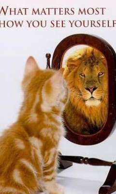 lion or kitten - self belief, this picture says it all