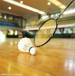 badminton - i like playing badminton